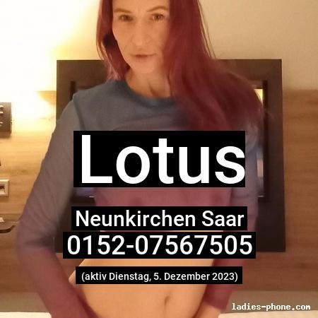 Lotus aus Neunkirchen Saar