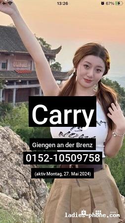 Carry aus Dresden