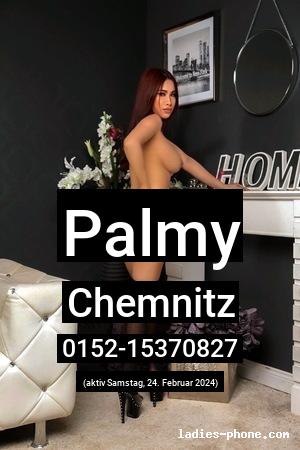 Palmy aus Chemnitz