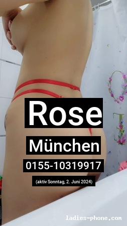 Rose aus München