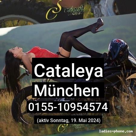 Cataleya aus München