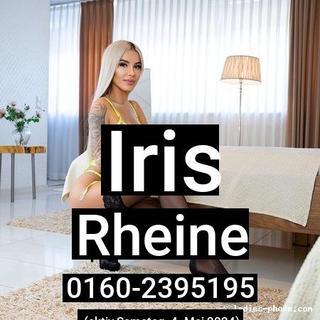 Iris aus Rheine
