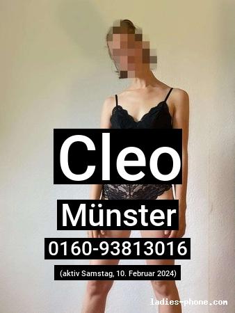 Cleo aus Münster