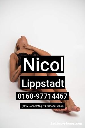 Nicol aus Lippstadt