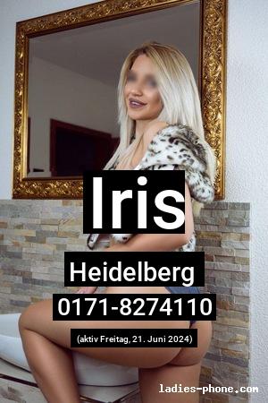 Iris aus Heidelberg