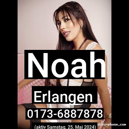 Noah aus Erlangen