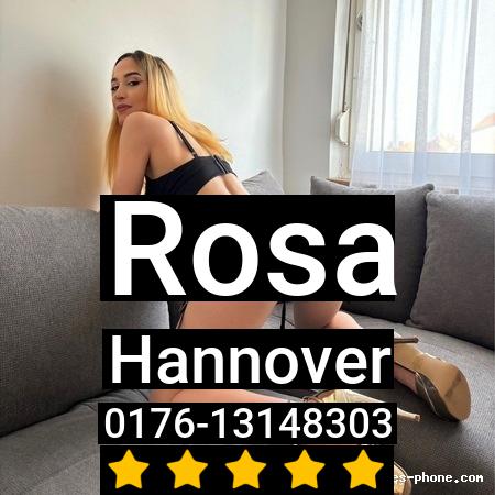 Rosa aus Hannover