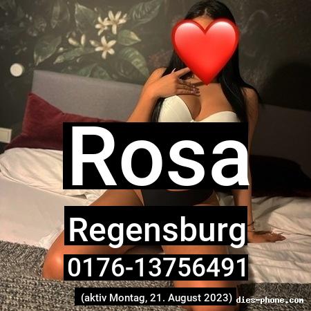 Rosa aus Regensburg