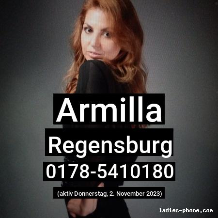 Armilla aus Regensburg