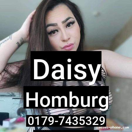 Daisy aus Homburg