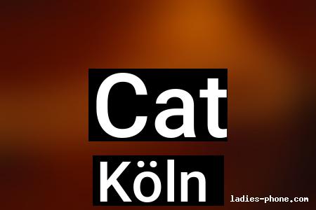 Cat aus Köln