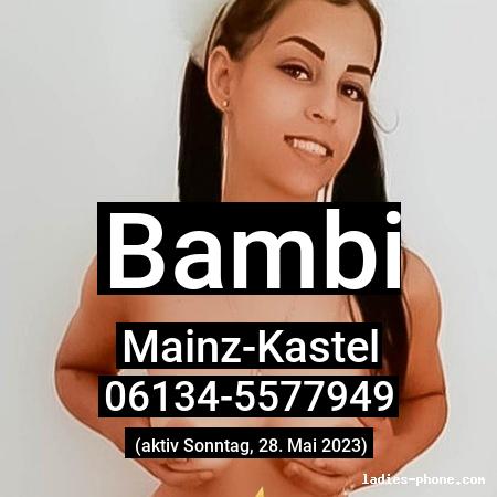 Bambi aus Mainz-Kastel