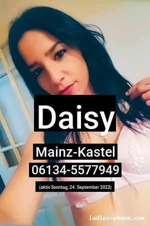 Daisy aus Mainz-Kastel