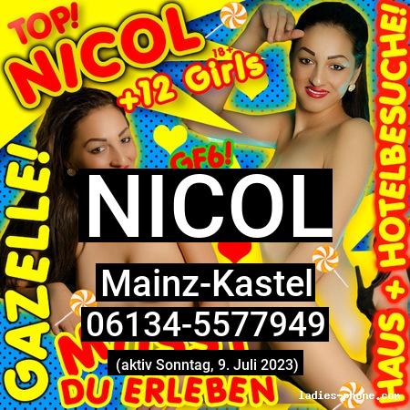 Nicol aus Mainz-Kastel