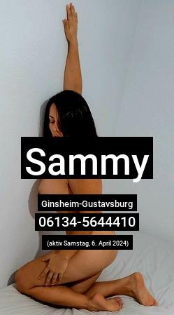 Sammy aus Ginsheim-Gustavsburg