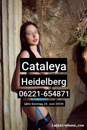 Cataleya aus Heidelberg