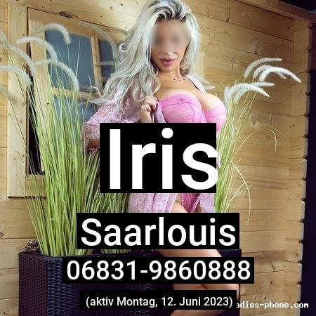 Iris aus Saarlouis