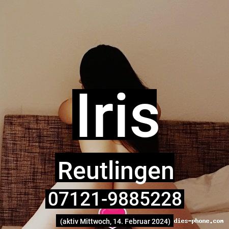 Iris aus Reutlingen