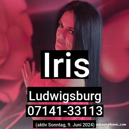 Iris aus Ludwigsburg