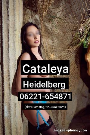 Cataleya aus Konstanz