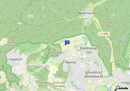 HEUTE 20.05.2024 ist ANTONIA in Tübingen 