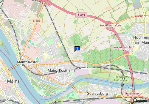 HEUTE 20.05.2024 ist Kiara in Mainz-Kostheim 